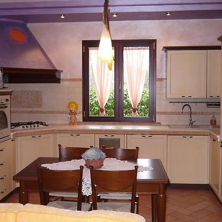 Apartament Cara Pace Rimini Zewnętrze zdjęcie